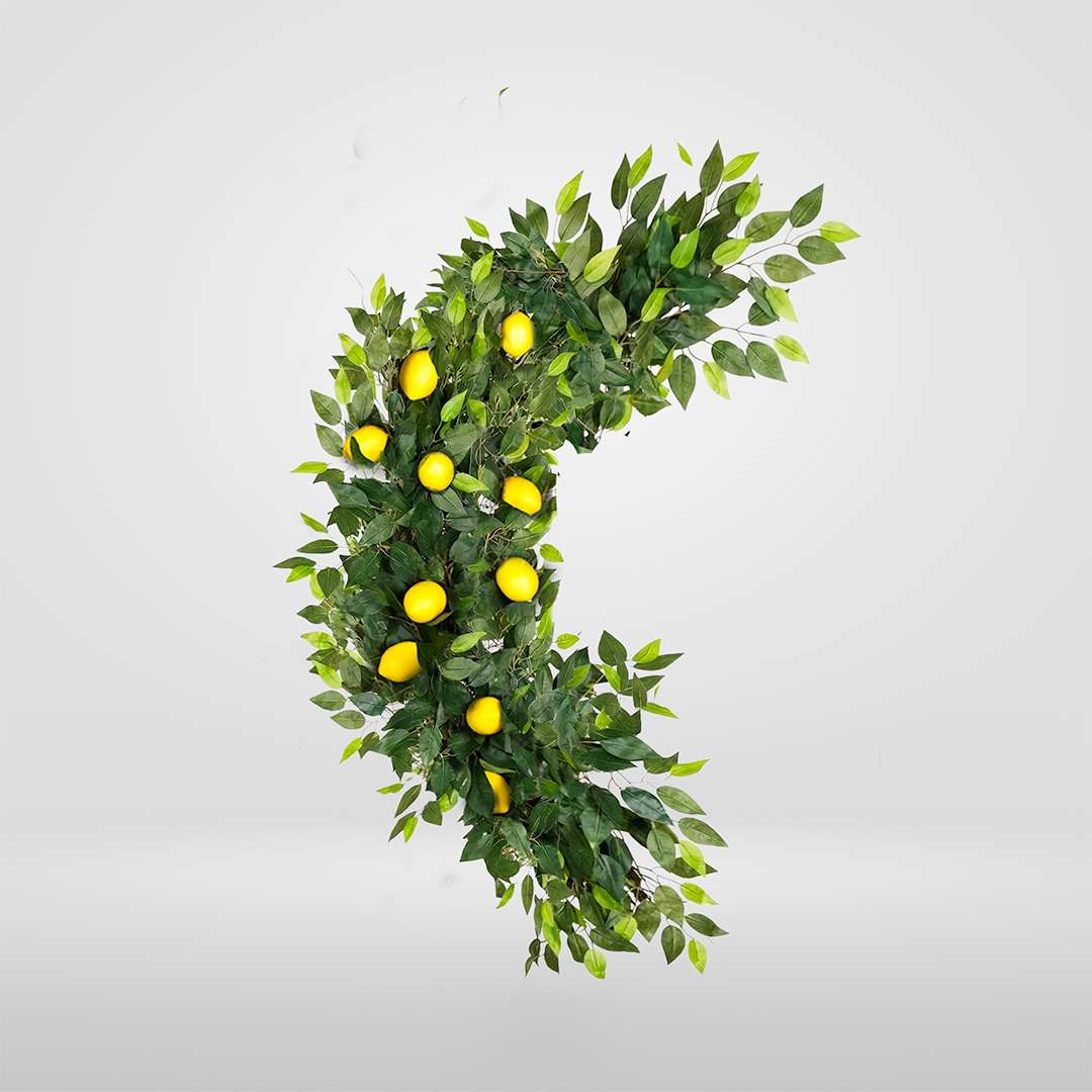 Enredadera Ficus Limonero Flexible