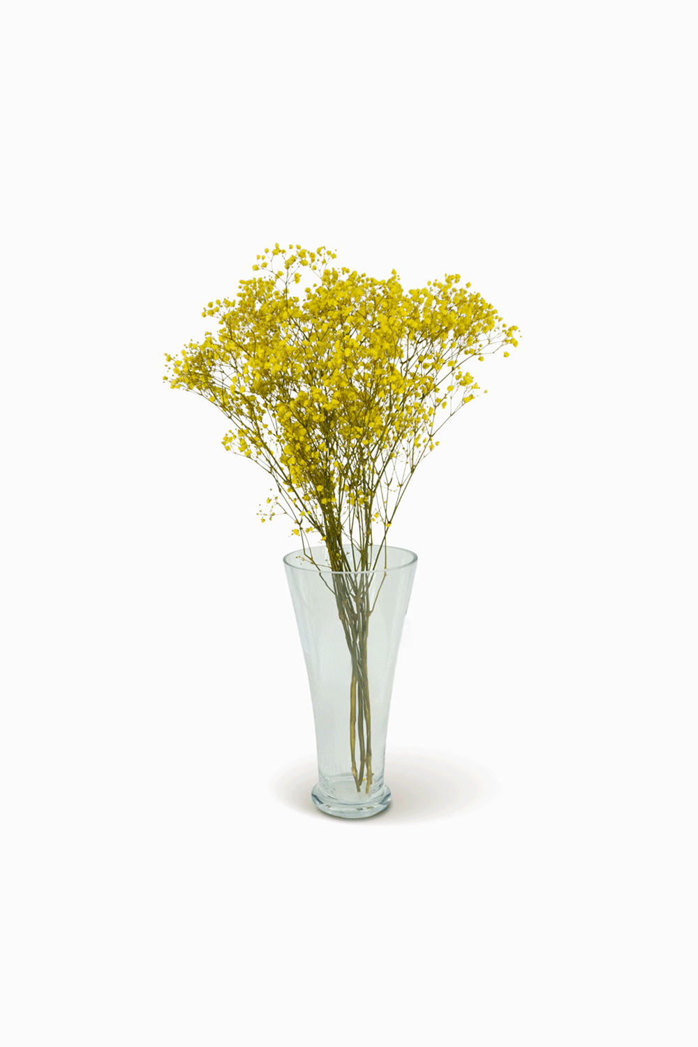 Bouquet Gypso jaune