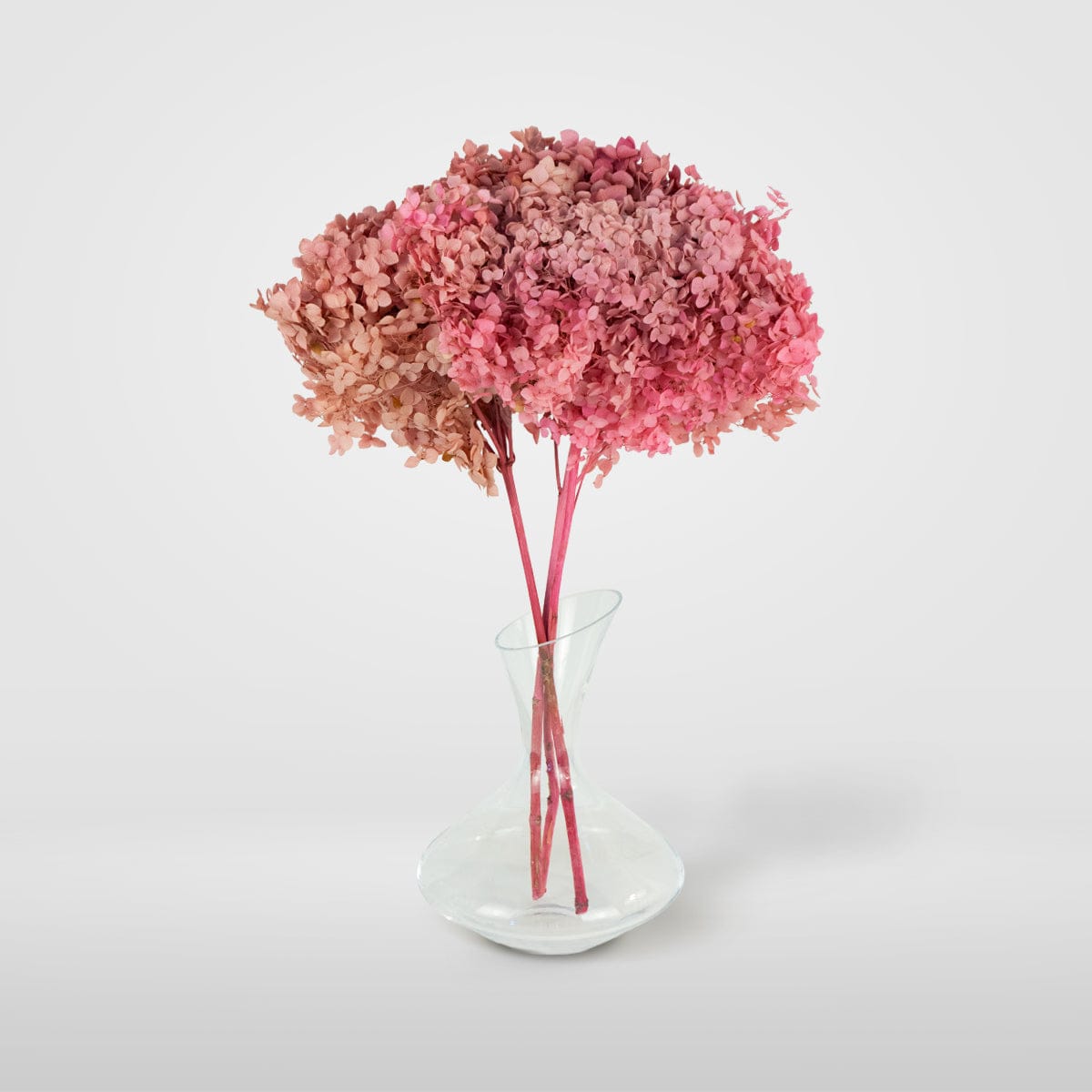 Mazzo di ortensia rosa