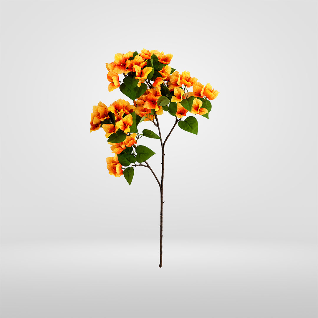 Rama Buganvilla Naranja