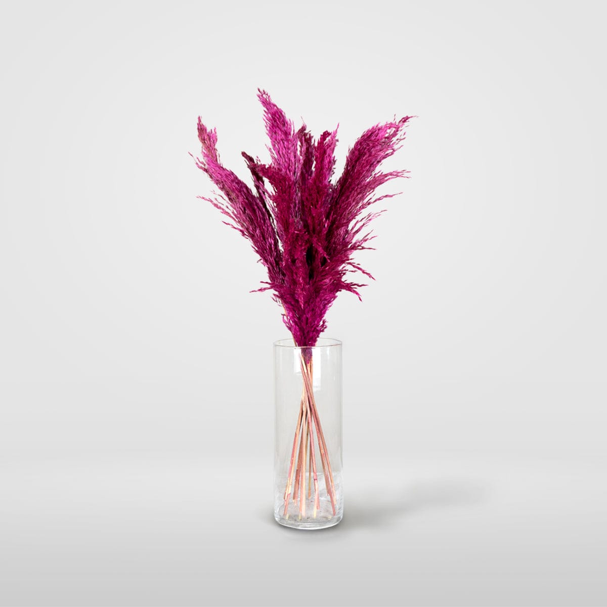 Bouquet di Pampa Fucsia