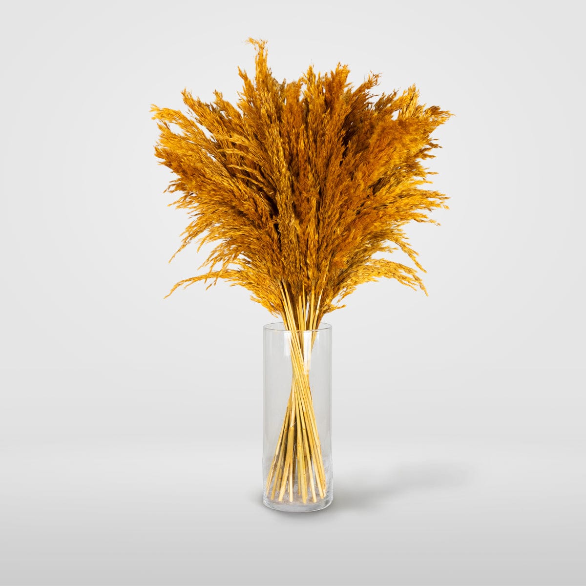 Bouquet Pampa orange