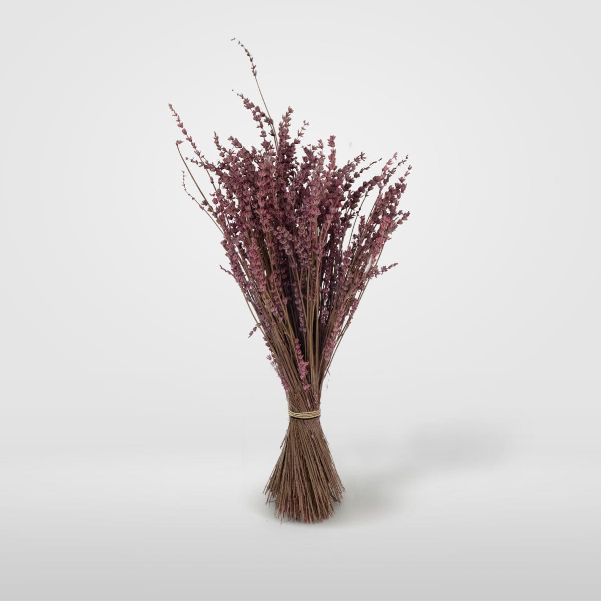 Bouquet Lavande fuchsia