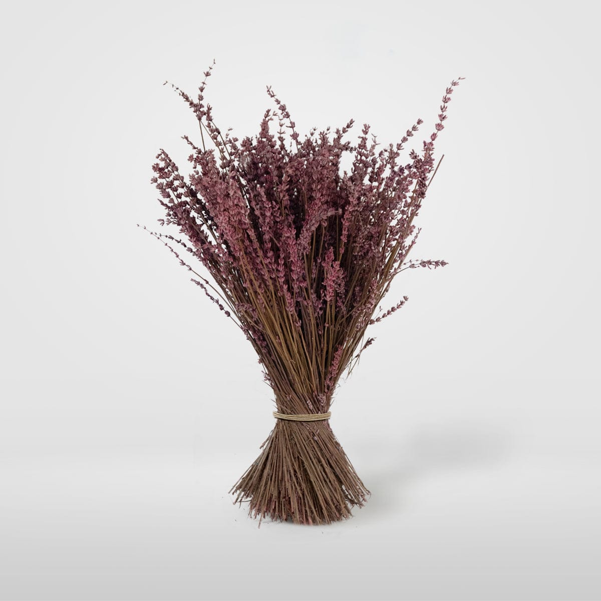 Bouquet Lavande fuchsia