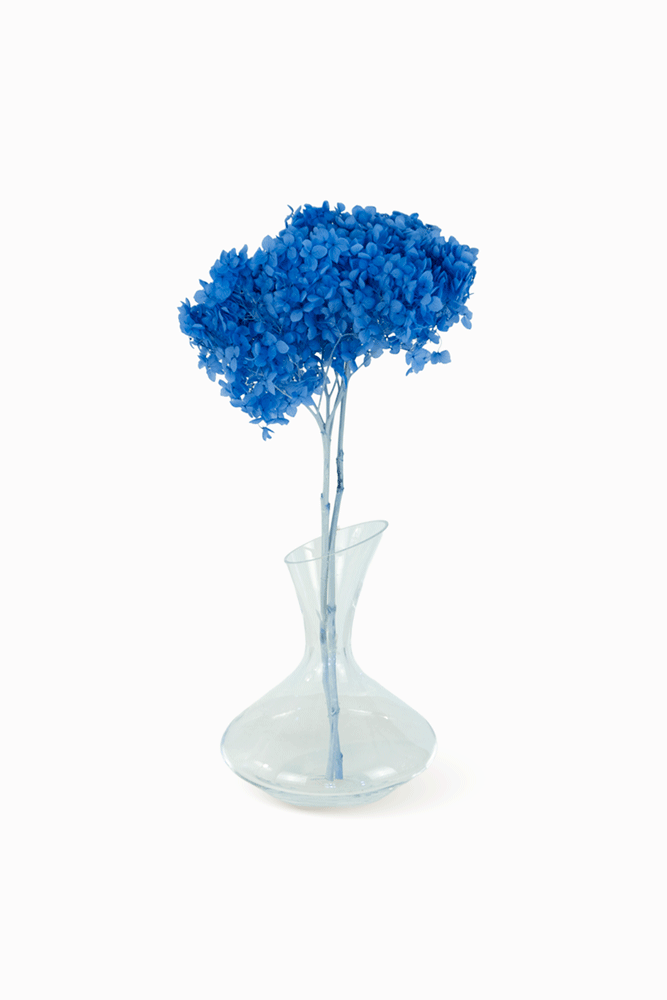 Bouquet Hortensia bleu