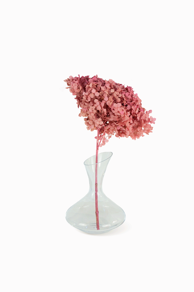 Bouquet Hortensia rose