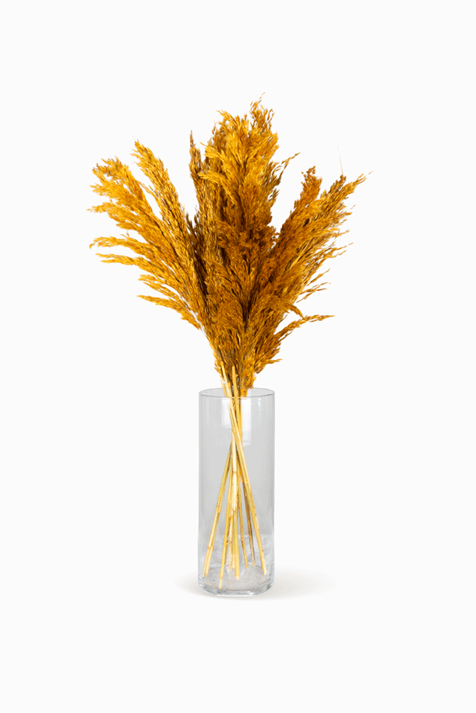 Bouquet Pampa orange