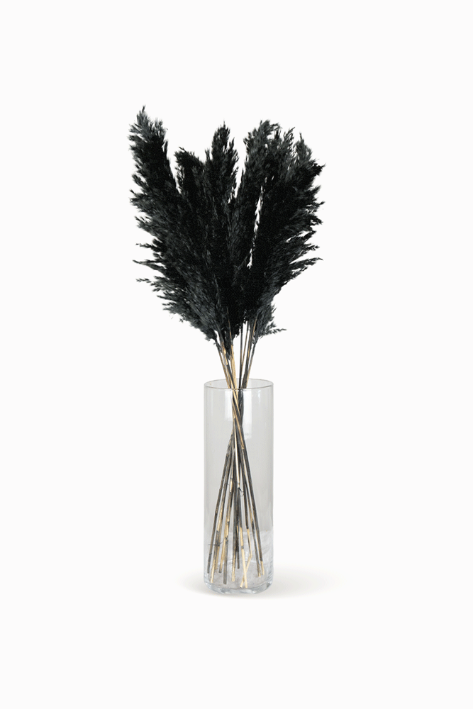 Bouquet Pampa noir