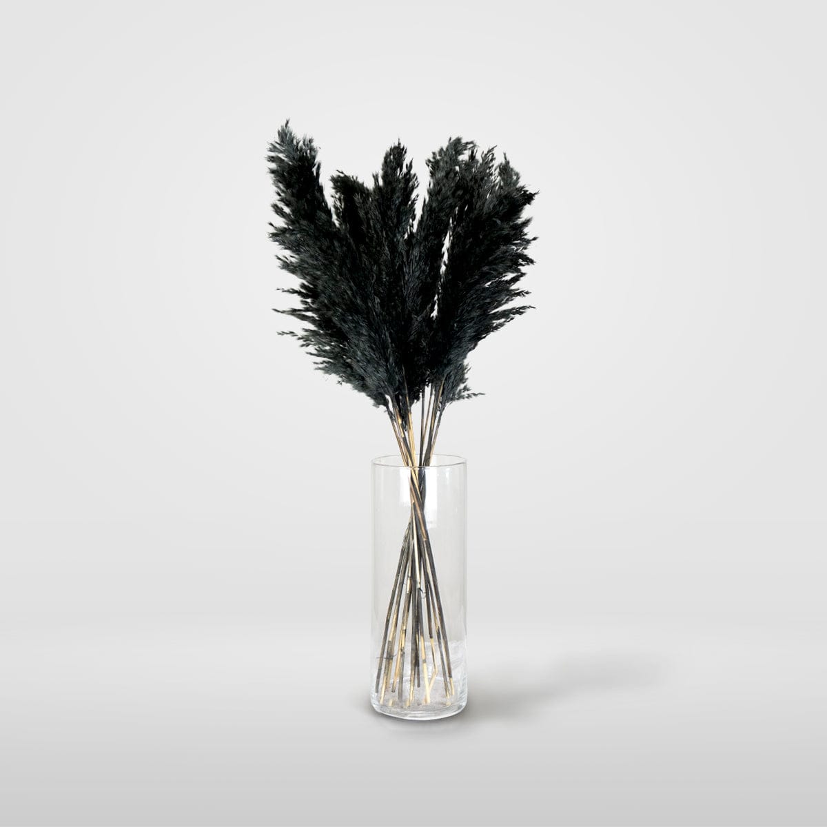 Bouquet Pampa noir