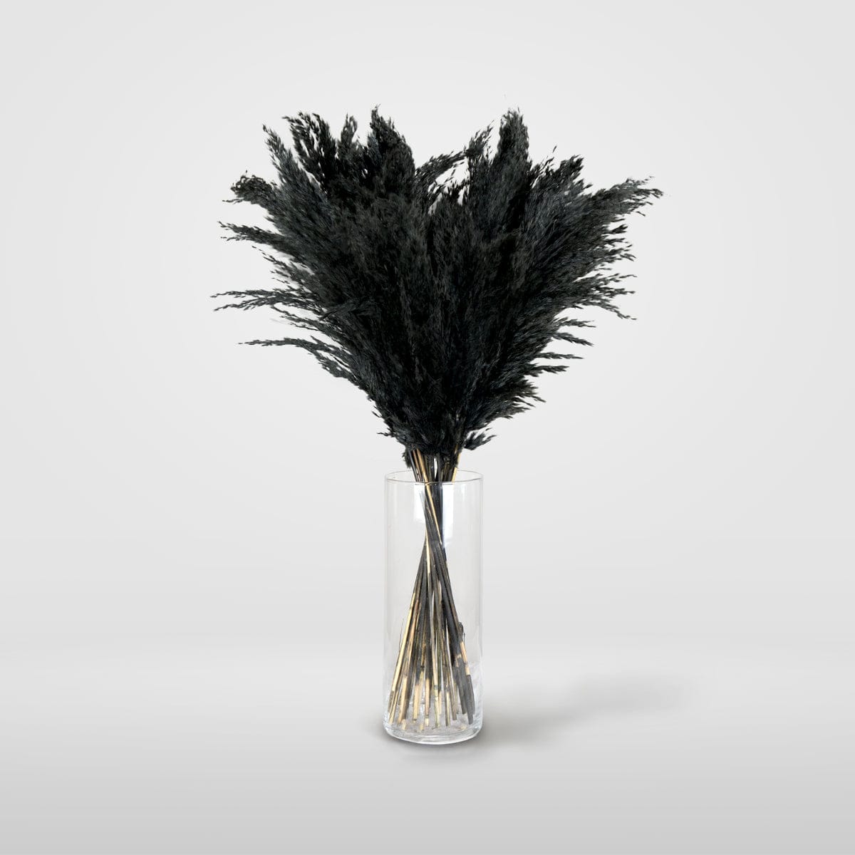 Bouquet Pampa noir
