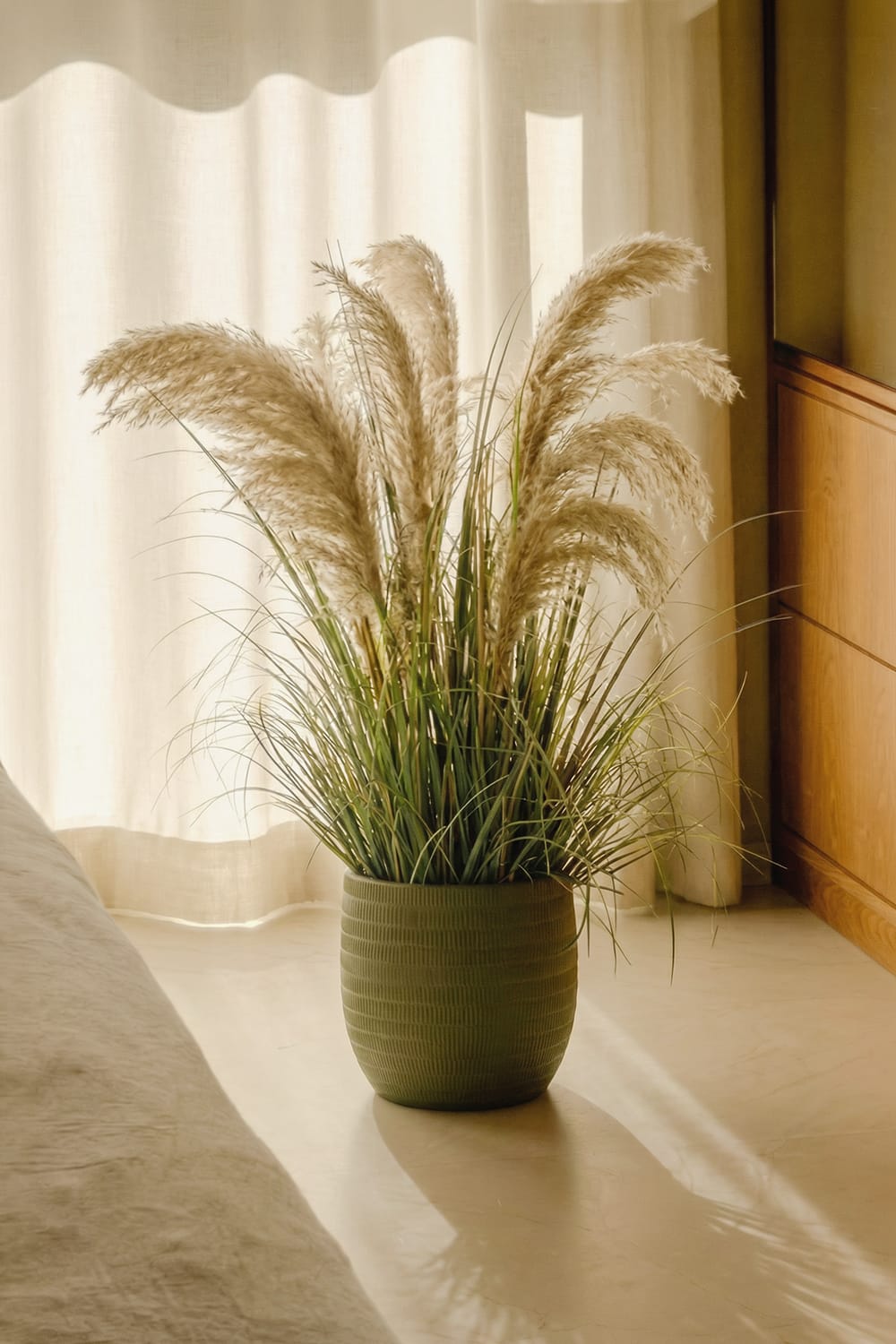 Graminée plumes marron