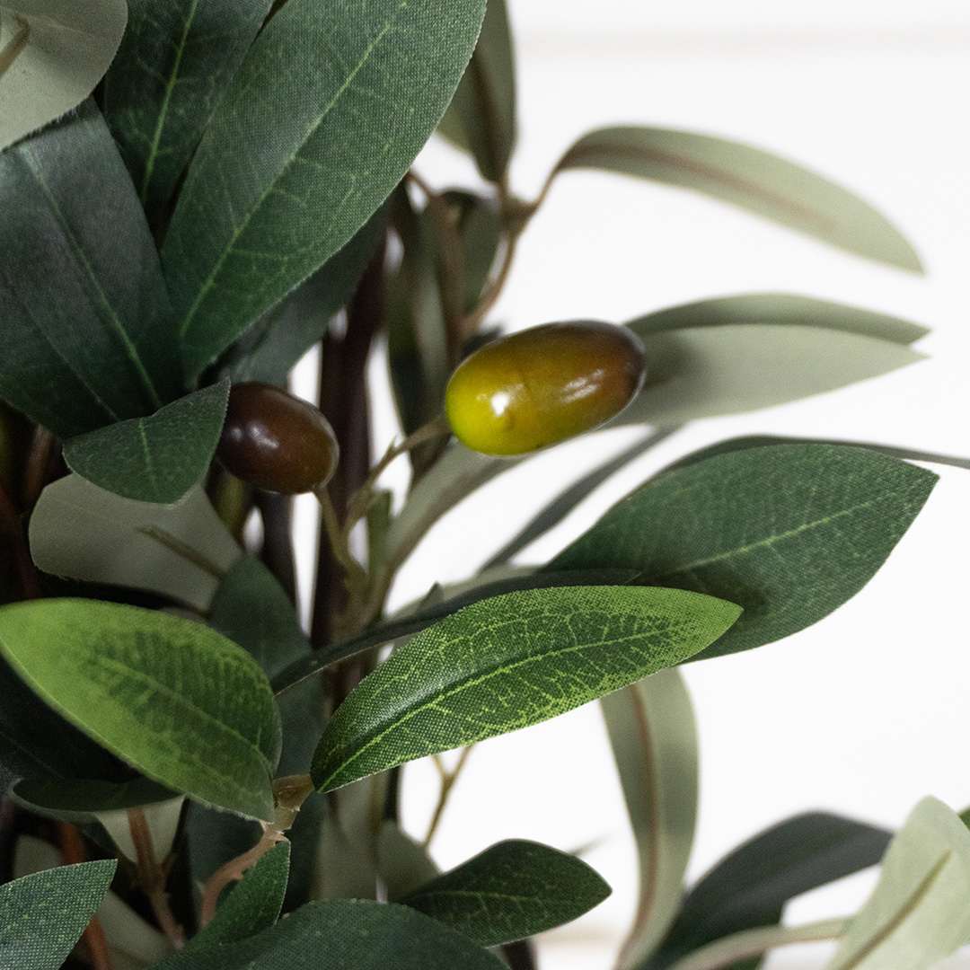 Enredadera Olivo Flexible