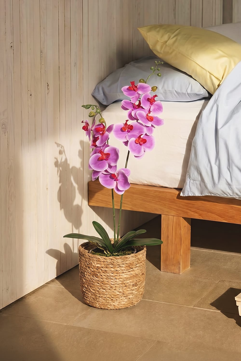 Orchidée Duo fuchsia