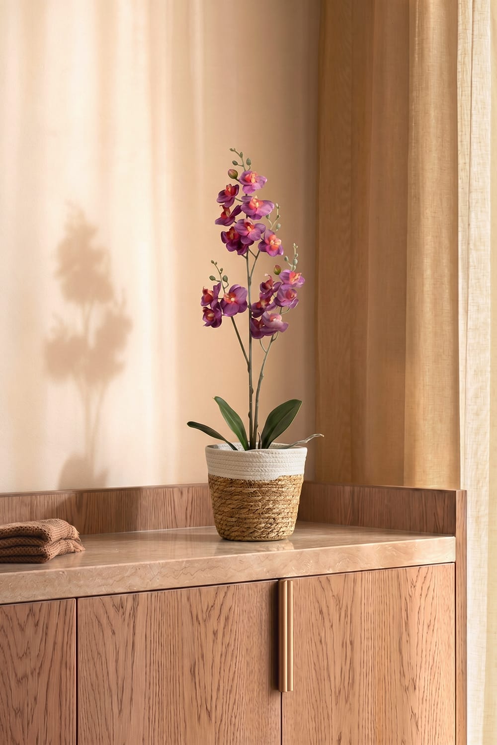 Orchidée Single fuchsia