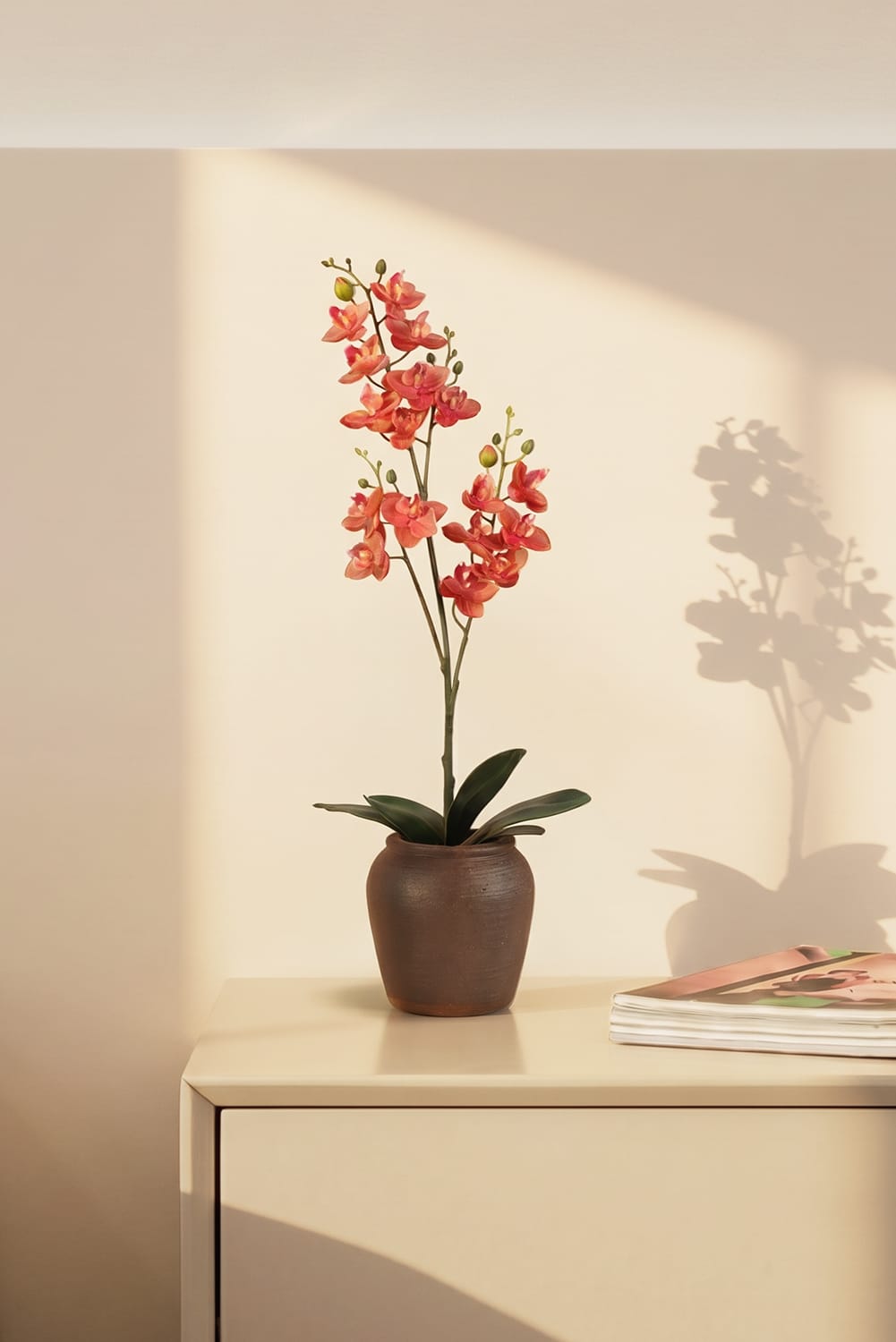 Orchidée Single rose