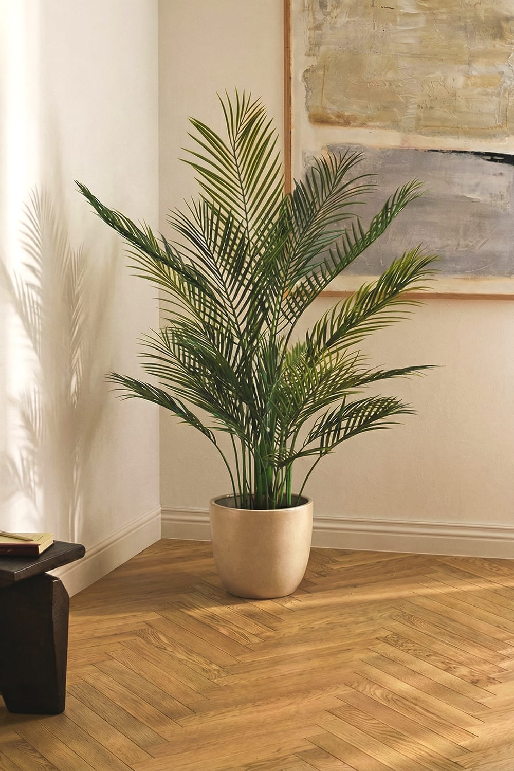 Palmier Areca