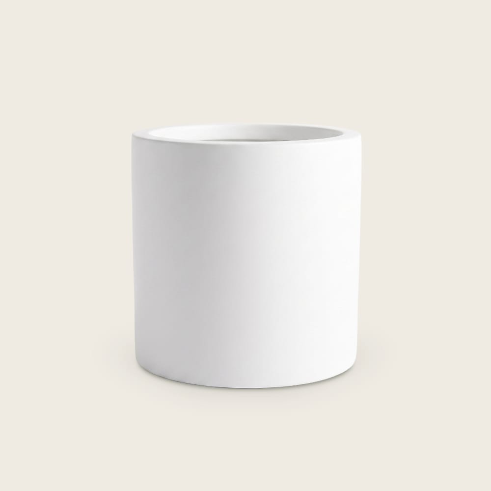 Puk Bianco 
