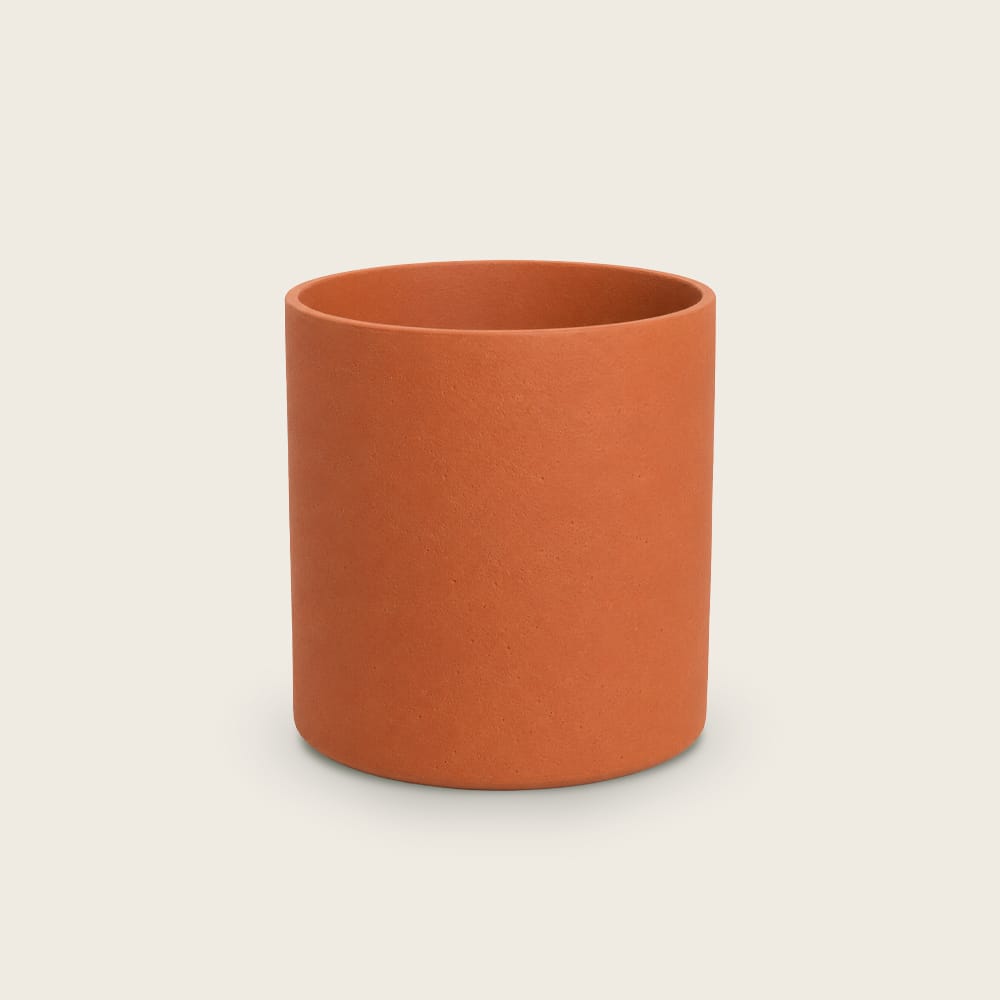 Puk Orange